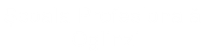 LOGOOGLINZI